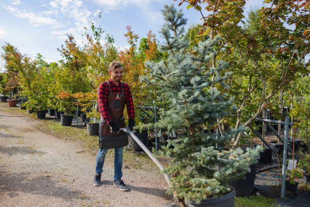 Leaf Removal in Lawnton, PA